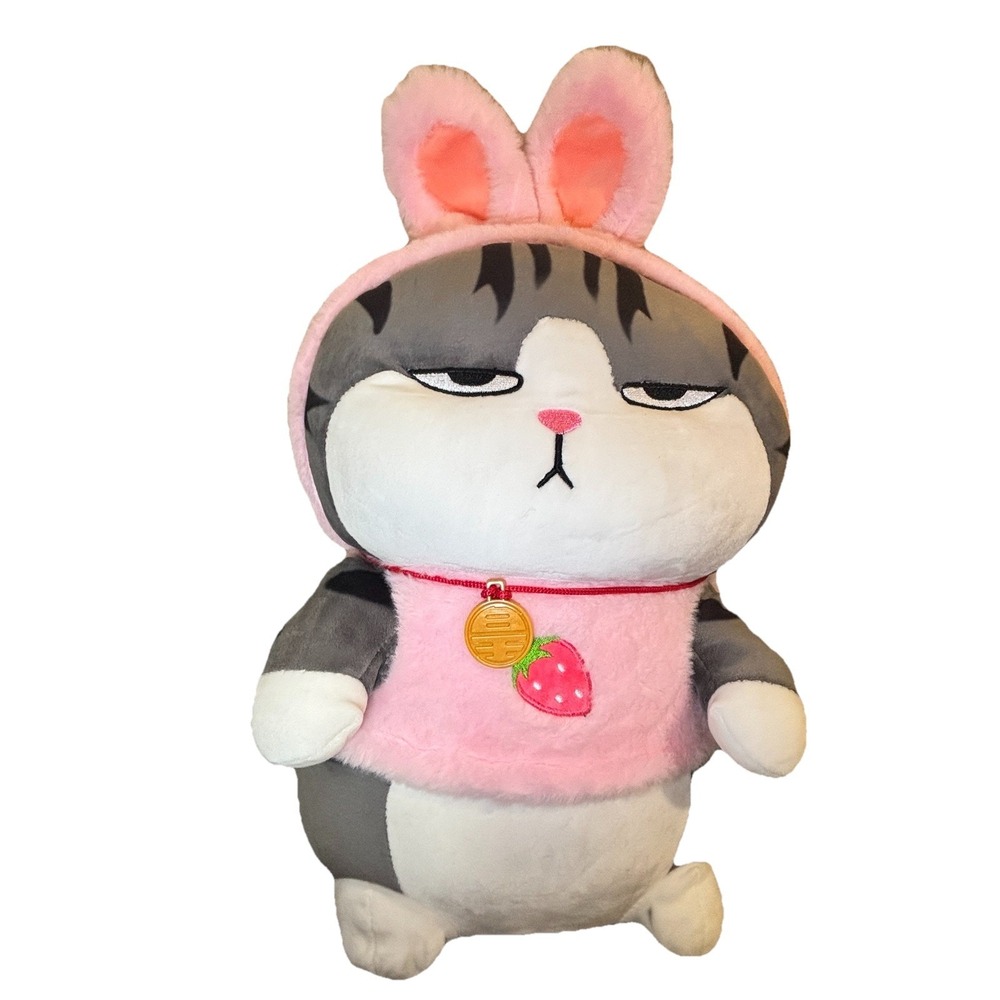 Pandu Pandi Shy Chen Angry Cat Bunny Miniso-style Kawaii Asian plush Strawberry